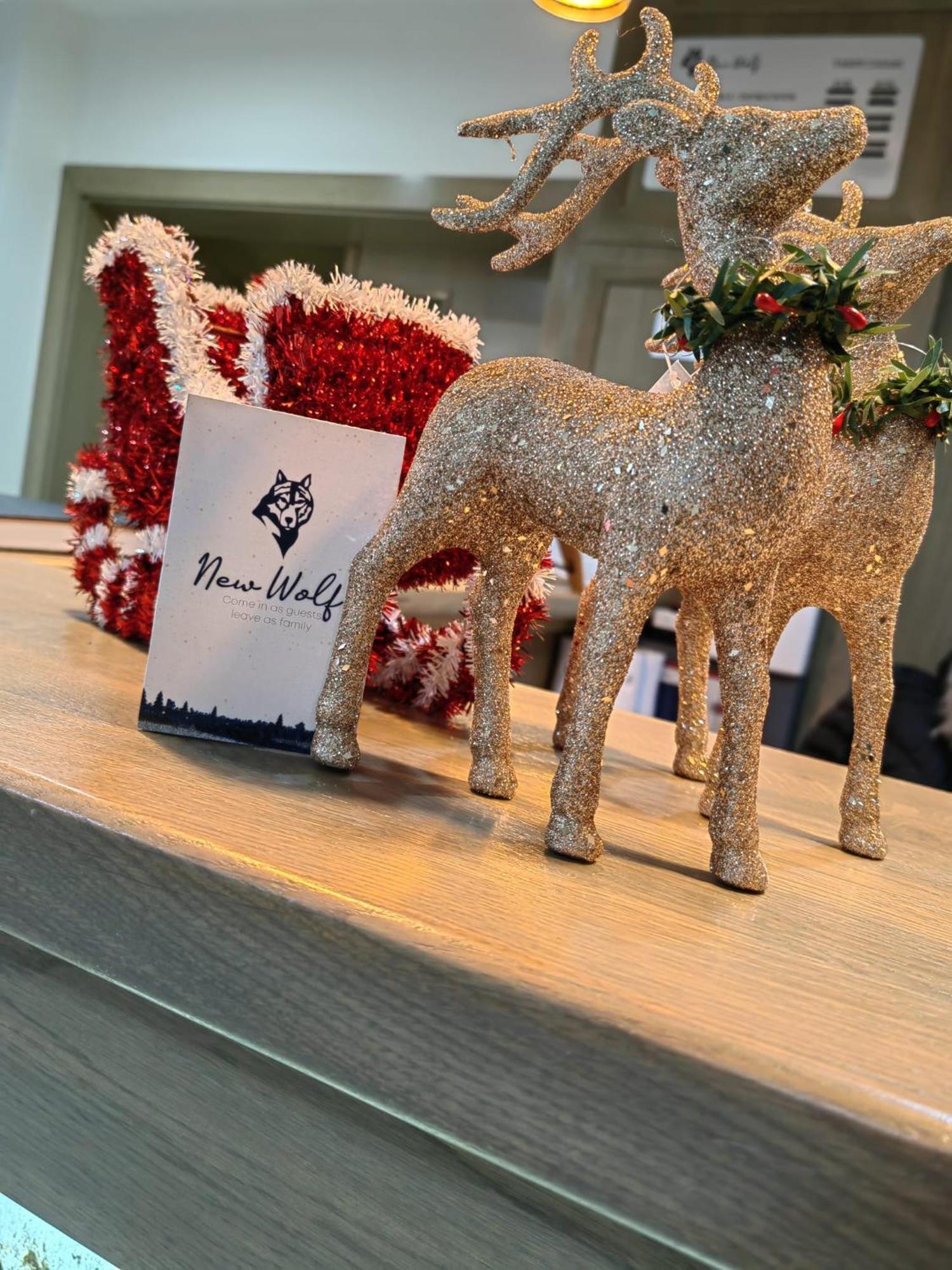 New Wolf Hotel Bran  Exterior foto