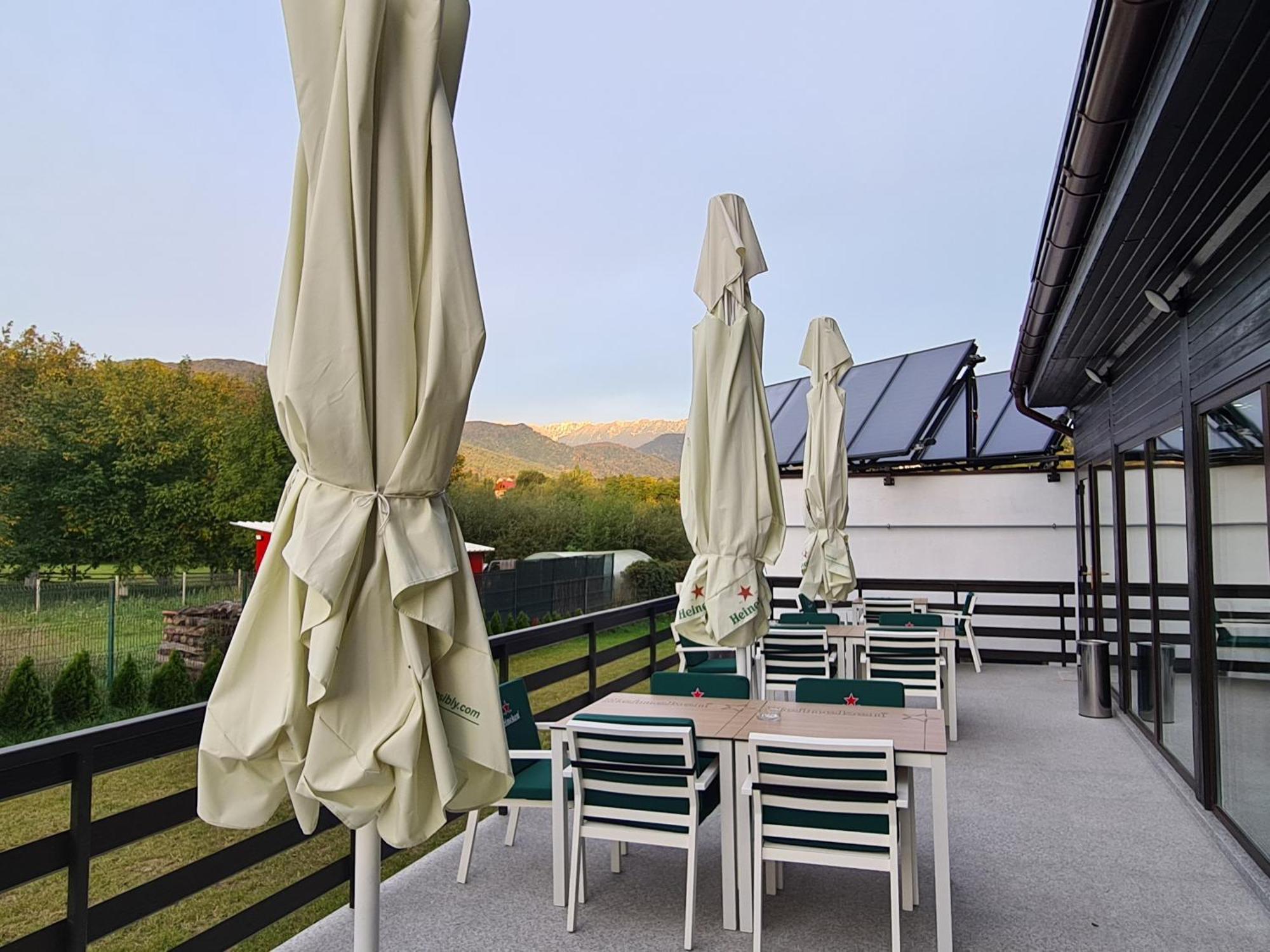 New Wolf Hotel Bran  Exterior foto