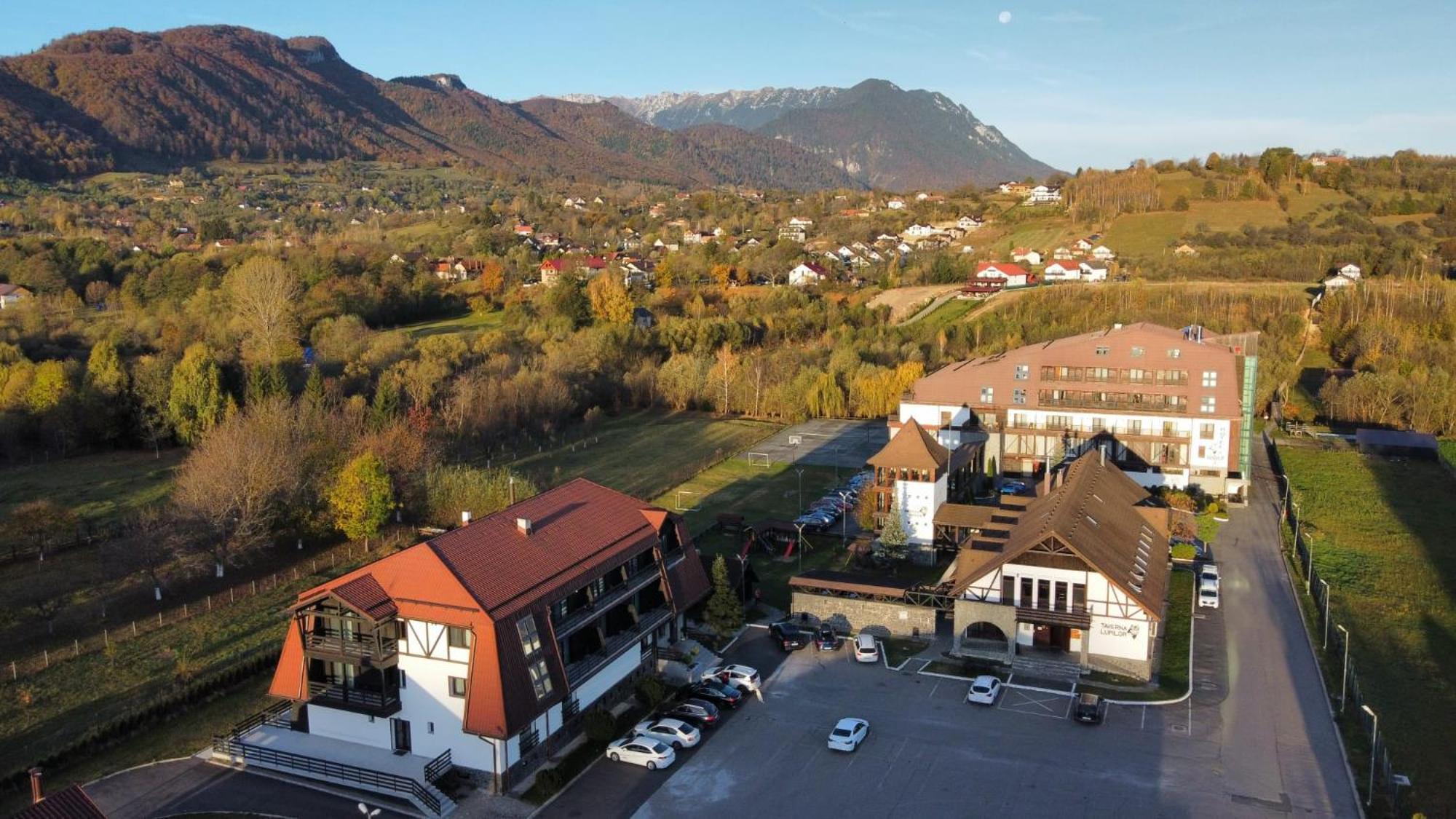 New Wolf Hotel Bran  Exterior foto